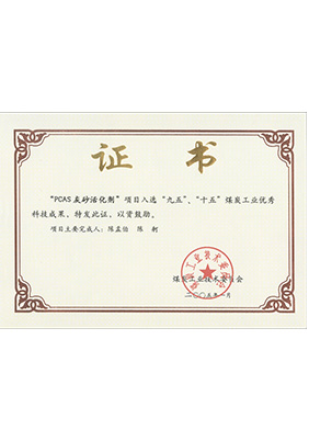2005年1月PCAS灰砂活化劑獲“九五、十五”科技成果獎